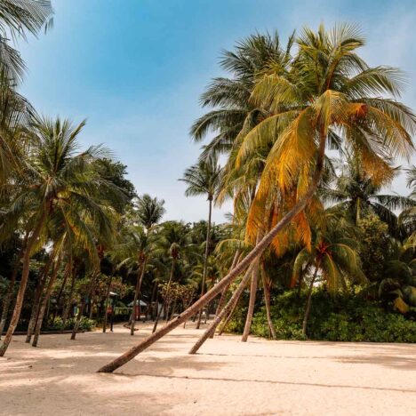 Singapur Sehenswürdigkeiten: Die besten Highlights + Geheimtipps