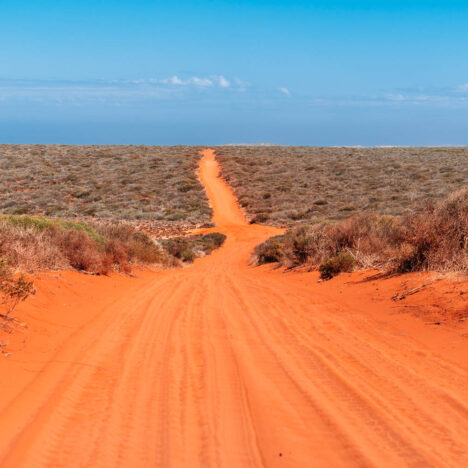Kalbarri Nationalpark Highlights: Naturwunder, rote Schluchten & Küstenpanoramen in Westaustralien