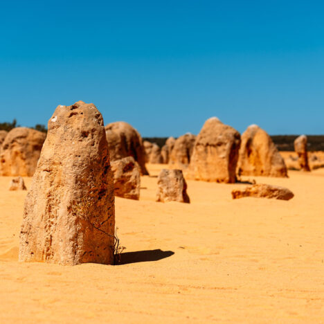 Hutt Lagoon Drohnenspot: Pinker Nr.1 See in Westaustralien