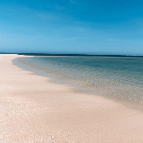 Wilde Delfine in Monkey Mia hautnah erleben – Ein unvergessliches Naturerlebnis in Shark Bay