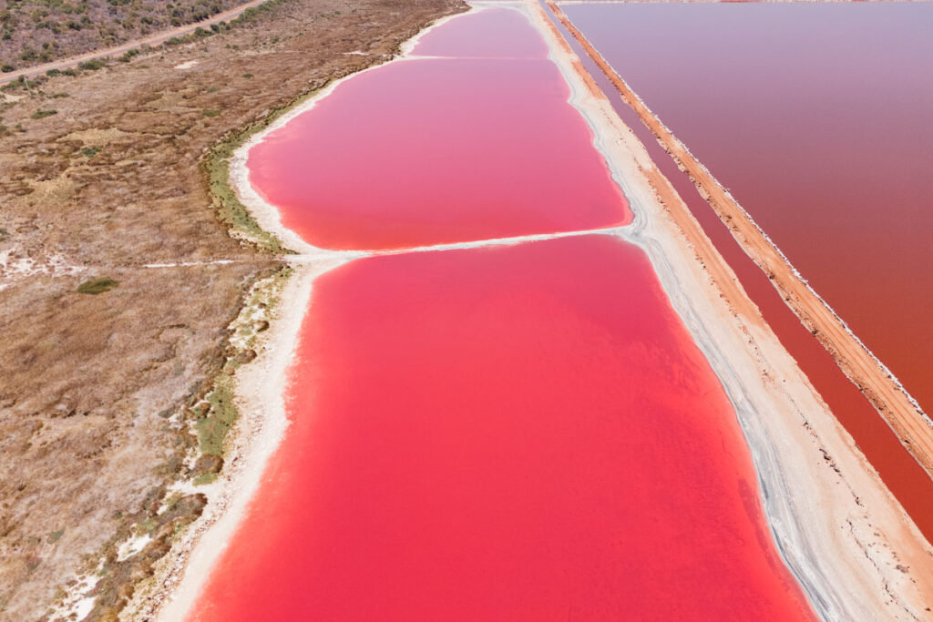 Hutt Lagoon Drohnenspot: Luftaufnahme vom pinken See in Westaustralien"