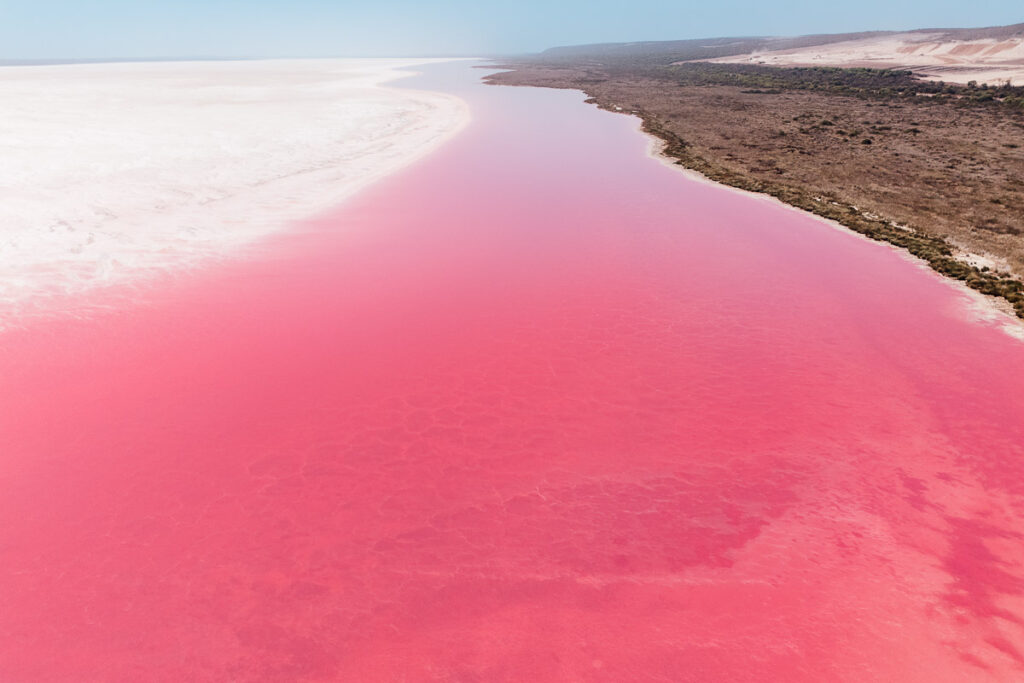 Pinker See mit hohem Salzgehalt