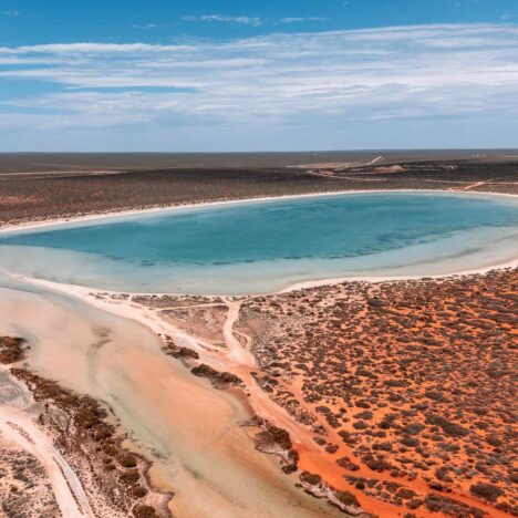 Shell Beach Westaustralien: Das faszinierende Muschelparadies entdecken