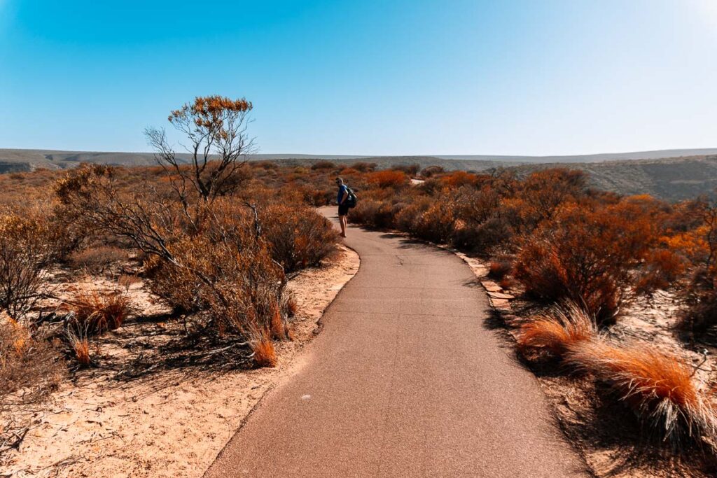 Geteerter Wanderweg durch die rotbraune Buschlandschaft im Kalbarri Nationalpark. Auf dem Pfad spaziert Mario von Auszeit Abenteuer mit Rucksack unter strahlend blauem Himmel in die Ferne.