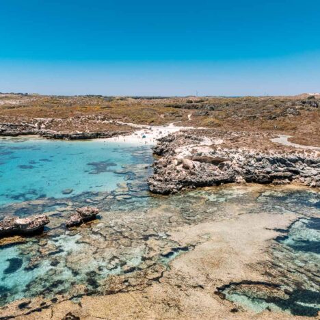 Perth Sehenswürdigkeiten: City-Highlights & 1x wilde Kängurus in der City!