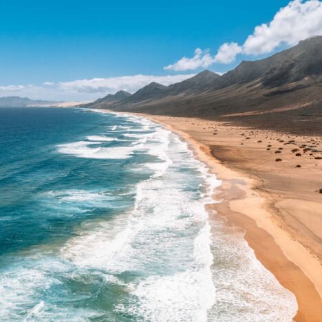 Perth Sehenswürdigkeiten: City-Highlights & 1x wilde Kängurus in der City!