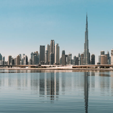 Wilde Koalas Australien: Steckbrief, 17 kuriose Fakten & wo du sie in Australien findest + Zooguide Deutschland