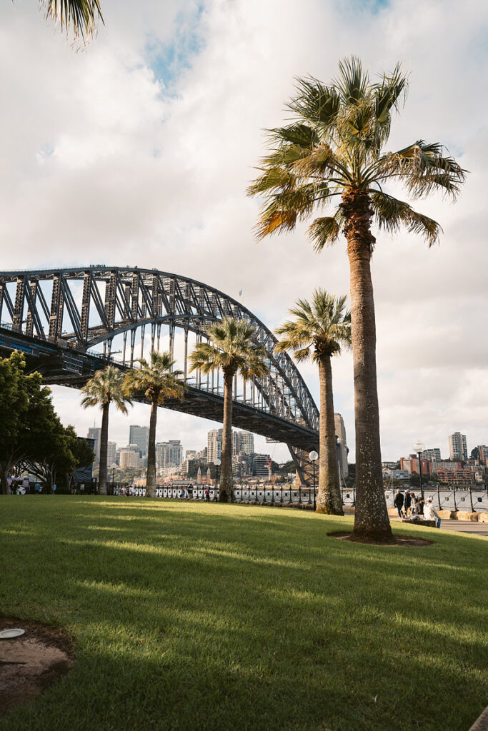 Die Sydney Harbour Bridge eingerahmt von Palmen und Grünflächen – eine entspannte Perspektive auf das berühmte Wahrzeichen