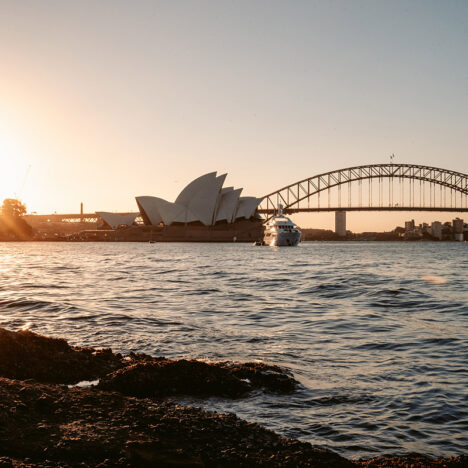 Orang-Utan Trekking auf Sumatra 2026: Unser Dschungel Abenteuer in Bukit Lawang
