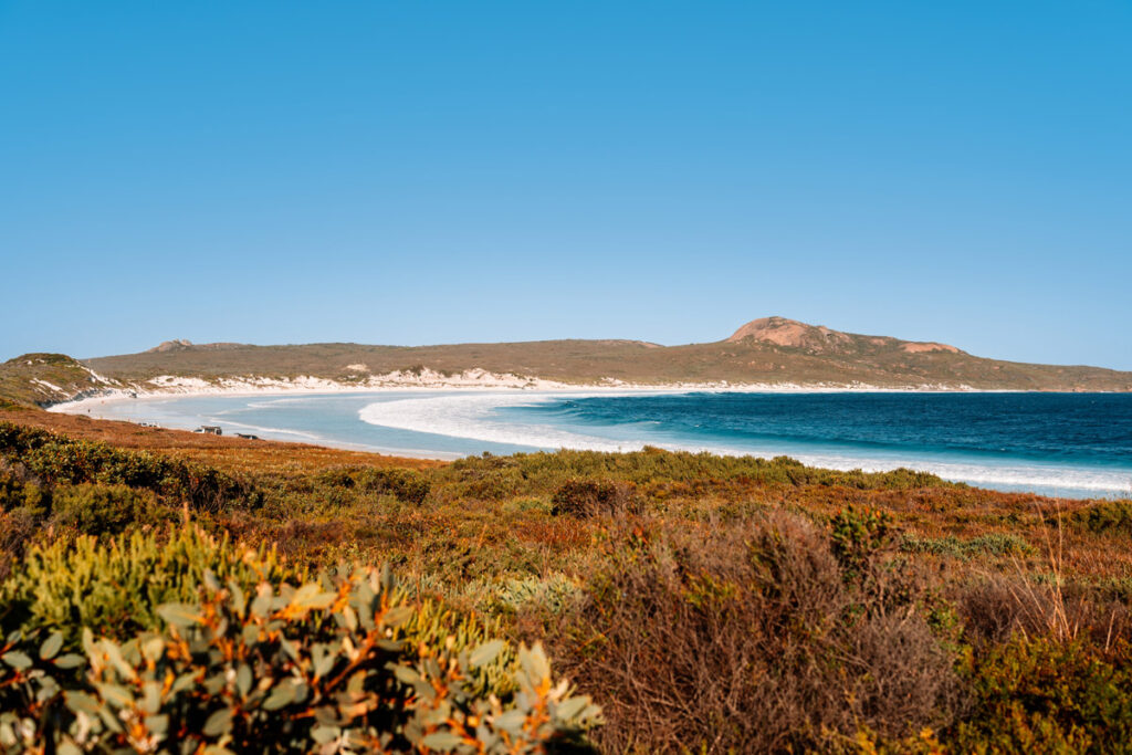 Malerischer Blick über die grüne Küstenvegetation auf die weite Lucky Bay im Cape Le Grand National Park, Westaustralien. Der strahlend weiße Sandstrand bildet einen perfekten Kontrast zum tiefblauen Ozean und dem blauen Himmel.