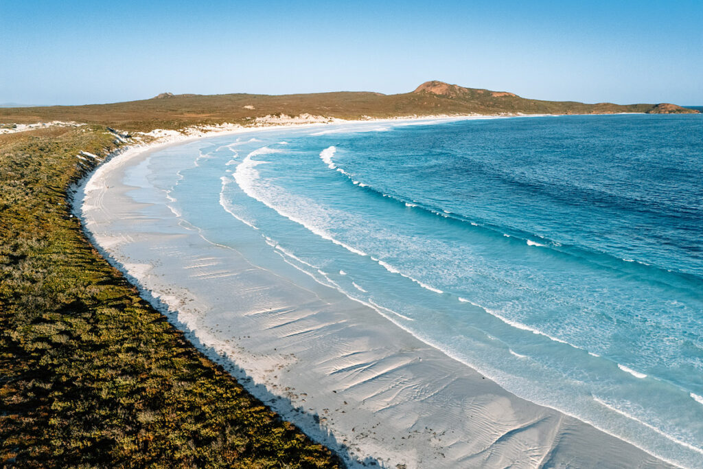 Beeindruckende Weitwinkelaufnahme der sichelförmigen Lucky Bay. Das extrem klare, türkisfarbene Wasser läuft in sanften Wellen auf den schneeweißen Sand auf. Im Hintergrund begrenzen grüne Hügel die Bucht.