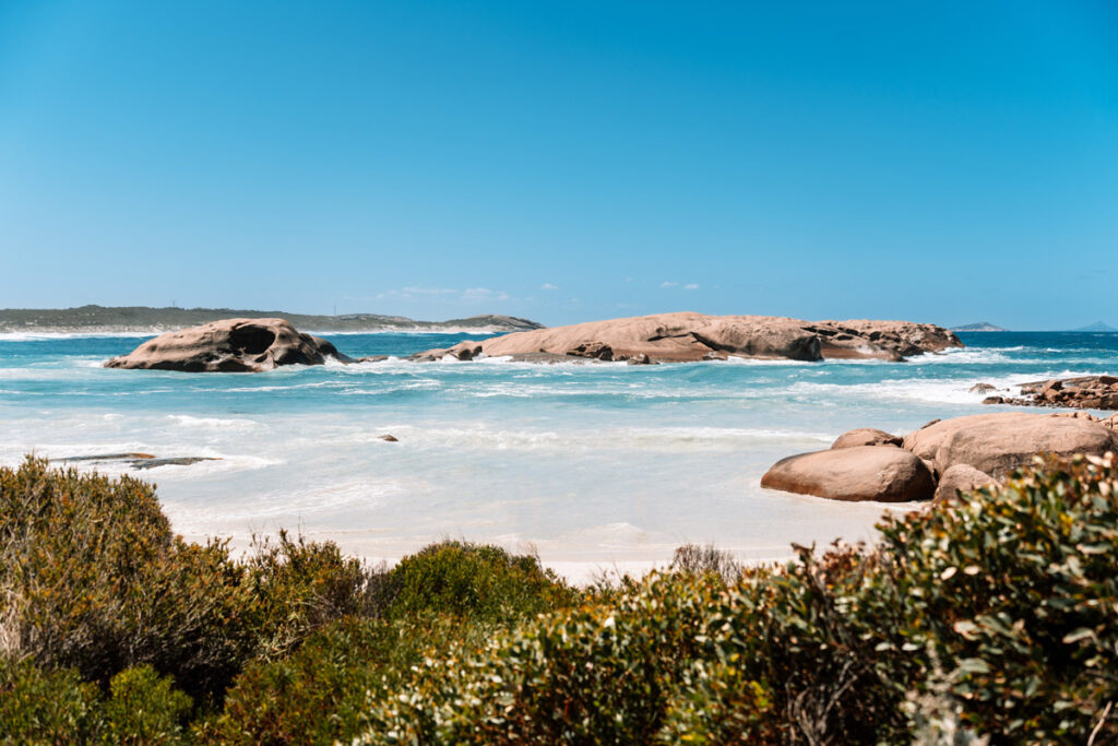 Malerische Aussicht auf den Twilight Beach bei Esperance, Westaustralien. Im Vordergrund wachsen grüne Büsche, dahinter erstreckt sich der weiße Sandstrand mit dem berühmten, rund geschliffenen Granitfelsen im türkisfarbenen Wasser unter strahlend blauem Himmel.
