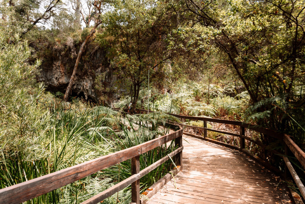 Holzsteg durch den dichten Wald am Eingang der Mammoth Cave