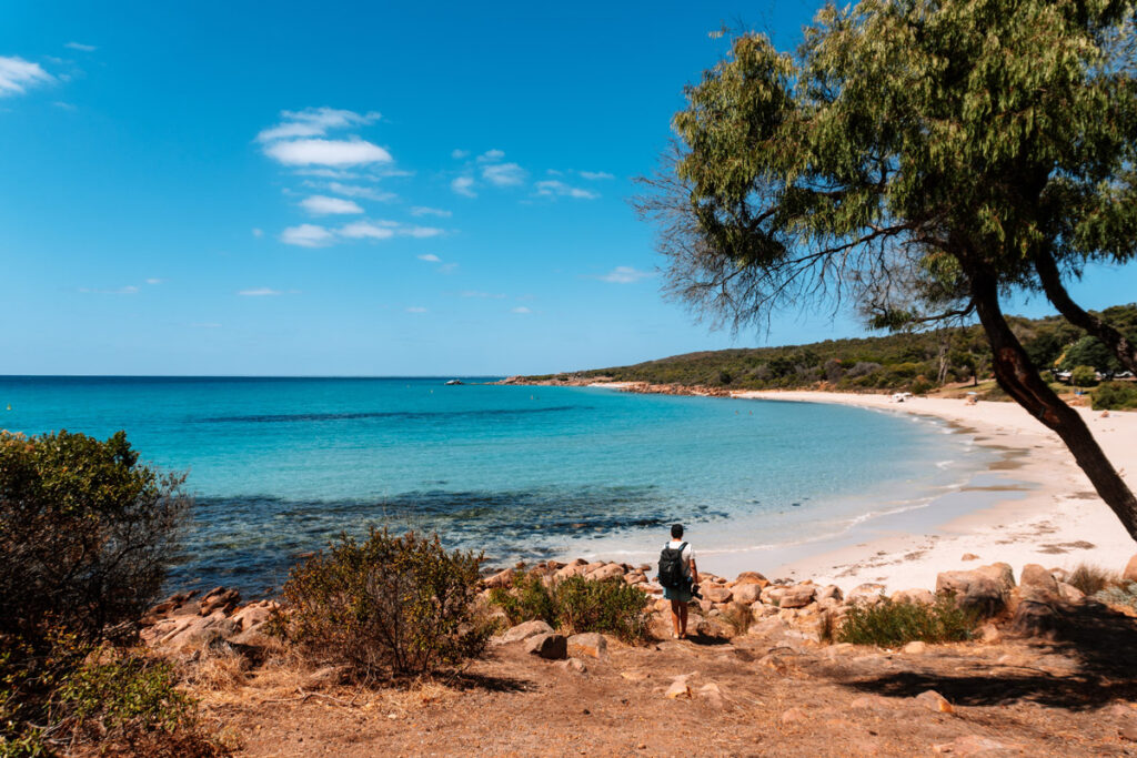 Blick durch die Bäume auf das blaue Meer am Castle Rock Beach
