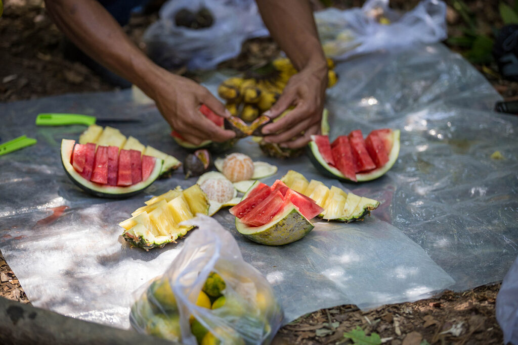 Frische Wassermelone, Ananas und Mandarinen als Trekking-Snack während Orang-Utan Tour Bukit Lawang Sumatra