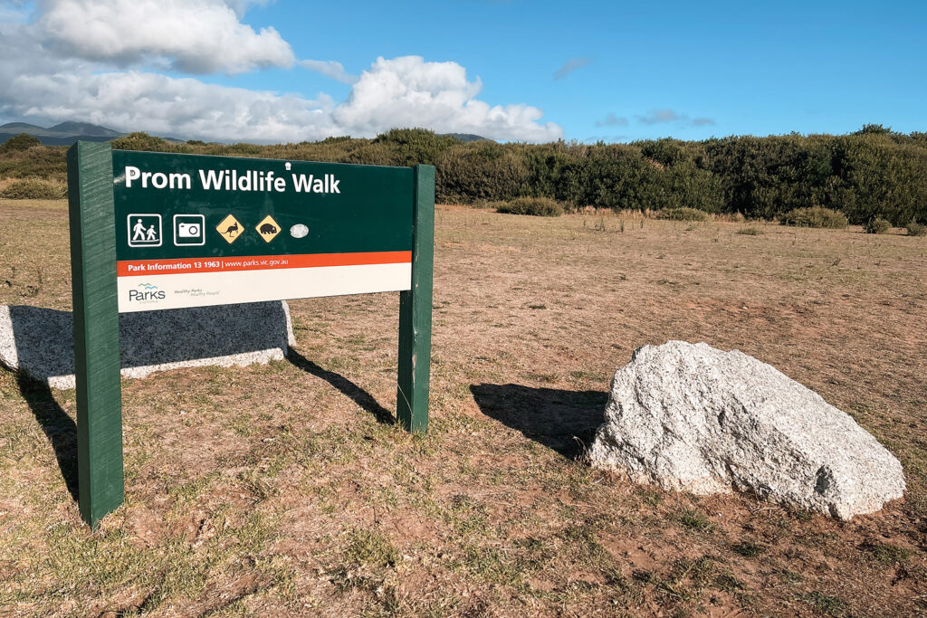 Hinweisschild zum Start des Prom Wildlife Walks für Wombat- und Känguru-Sichtungen im Wilsons Promontory Nationalpark.