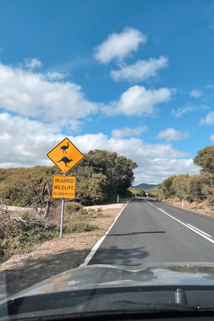 Gelbes Warnschild mit Emu und Känguru an einer asphaltierten Straße im Wilsons Promontory Nationalpark; typisches Roadtrip-Motiv unter blauem Himmel in Australien.
