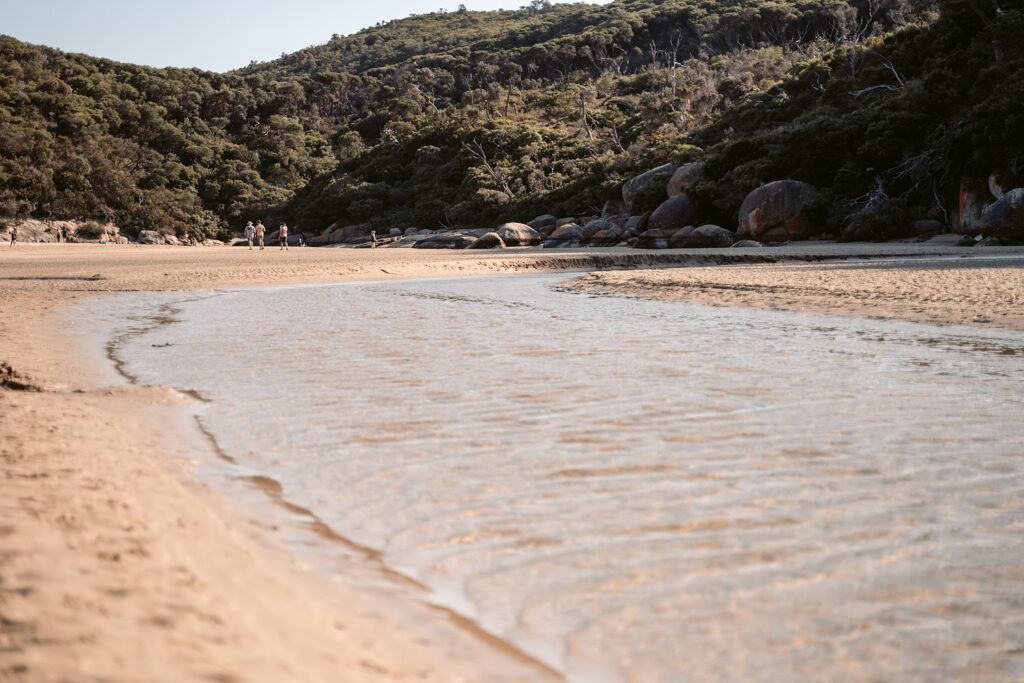 Die seichte, glitzernde Flussmündung des Tidal River am Norman Beach im Wilsons Promontory Nationalpark; im Hintergrund die bewaldeten Küstenhügel von Victoria, Australien.