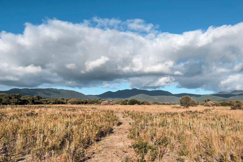 Weite Graslandschaft auf dem Prom Wildlife Walk im Wilsons Promontory Nationalpark mit Blick auf das Massiv des Mount Oberon in Victoria, Australien.