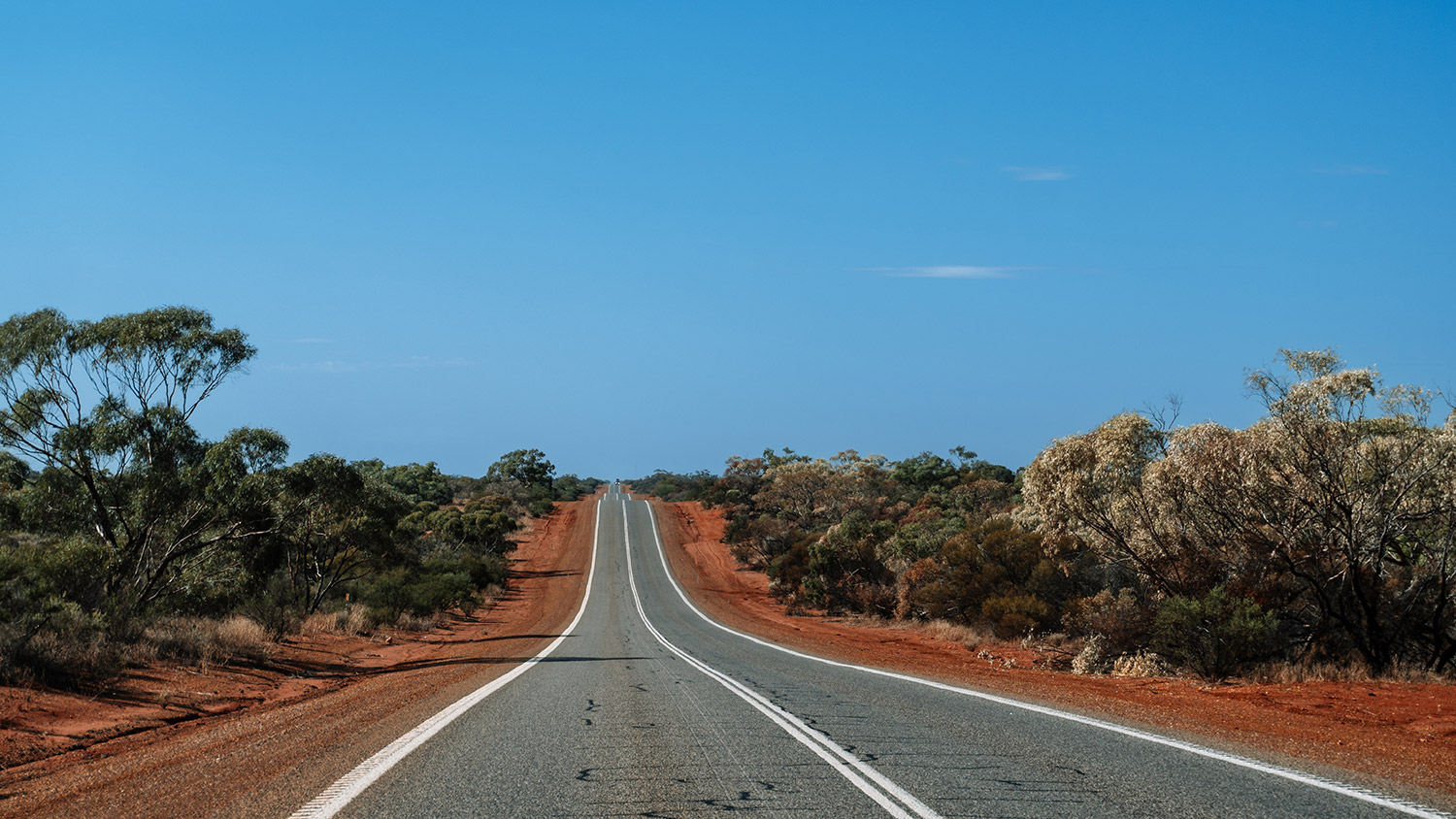 Eine schnurgerade Asphaltstraße führt durch die rote Erde und karge Vegetation des Outbacks unter einem strahlend blauen Himmel auf dem Roadtrip von Perth nach Exmouth.