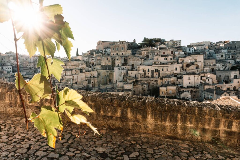 Stimmungsvolle Detailaufnahme: Grüne Blätter im warmen Sonnenlicht mit der historischen Felsenstadt Matera im Hintergrund.