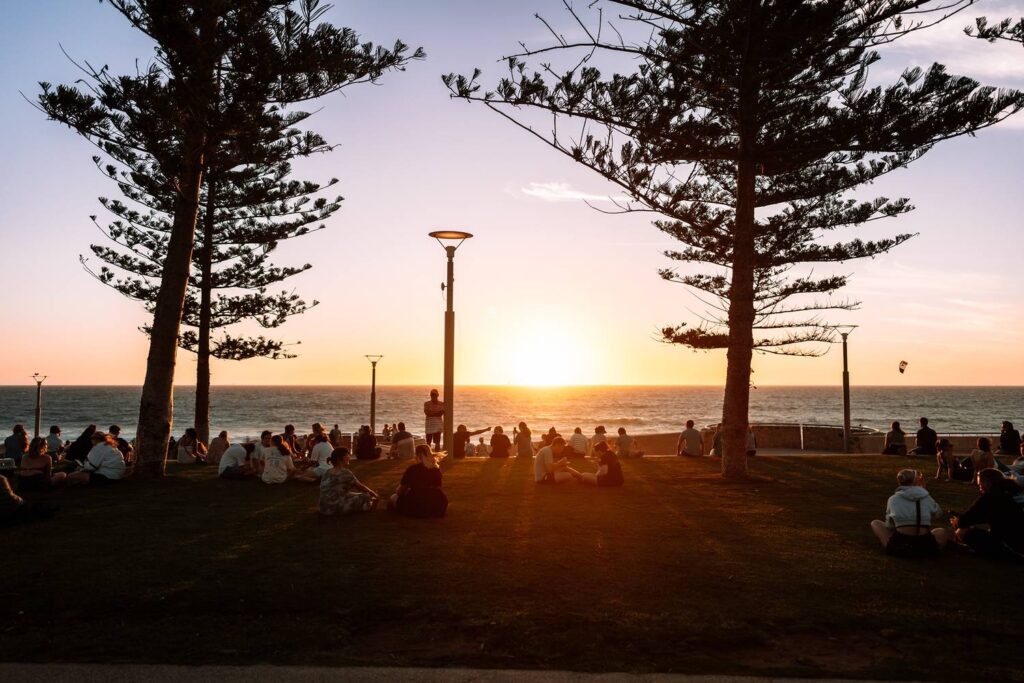 Zahlreiche Menschen sitzen entspannt auf einer Wiese unter großen Pinien und genießen den goldenen Sonnenuntergang über dem Meer bei den Sunset Markets in Scarborough.