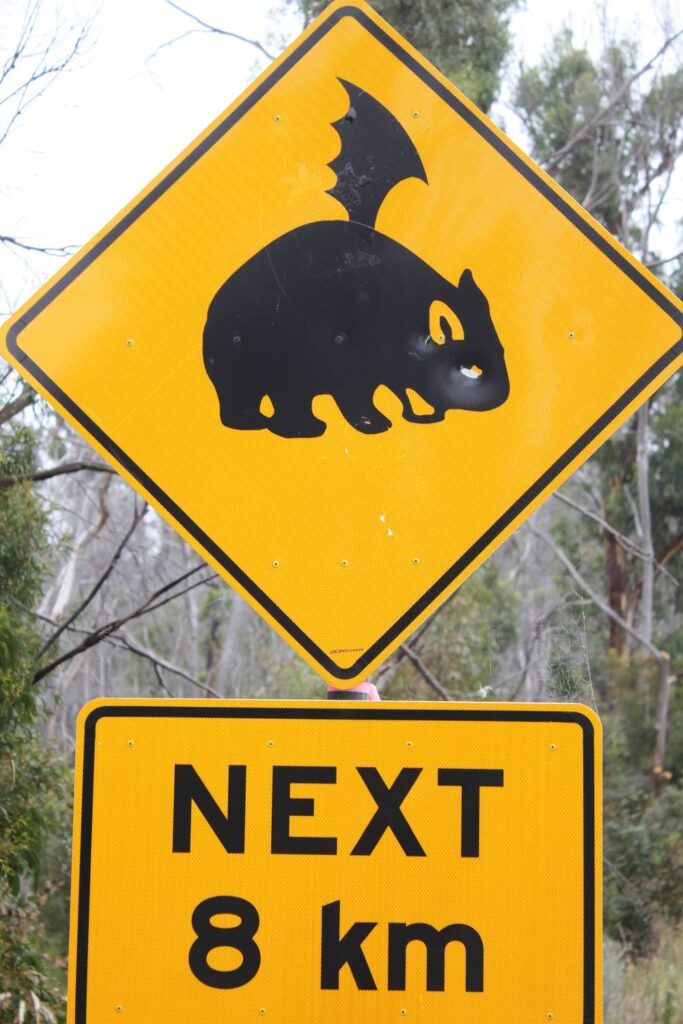 Ein gelbes australisches Verkehrsschild mit einer Wombat-Silhouette und der Aufschrift NEXT 8 km, auf das nachträglich schwarze Fledermausflügel aufgeklebt wurden.