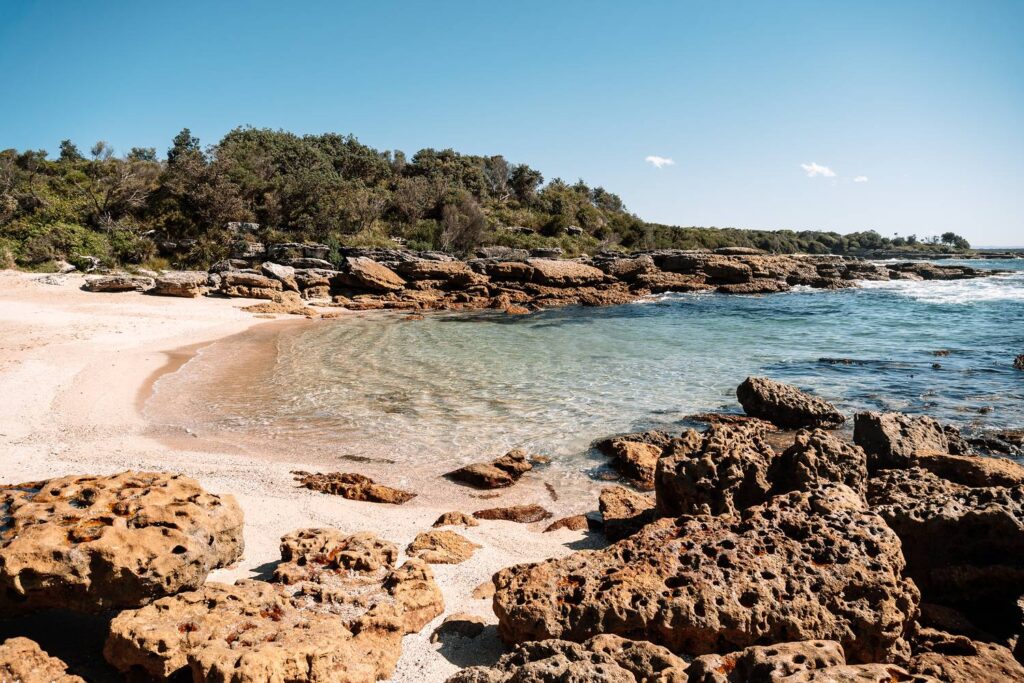 Eine malerische, felsige Küstenbucht in Jervis Bay mit kristallklarem, türkisfarbenem Wasser, einem feinen Sandstrand und markanten, porösen Sandsteinfelsen im Vordergrund unter einem wolkenlosen blauen Himmel.