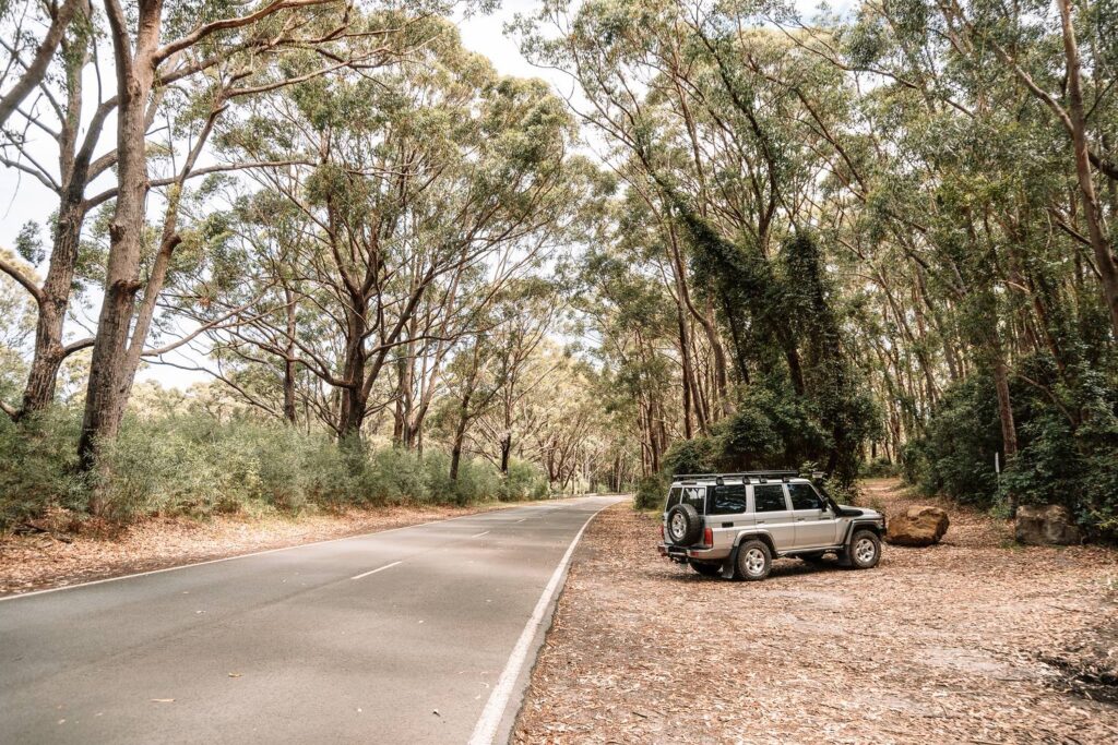 Ein silberner Offroad-Geländewagen parkt am staubigen Rand einer asphaltierten Straße inmitten eines dichten, hohen Eukalyptuswaldes in Jervis Bay.