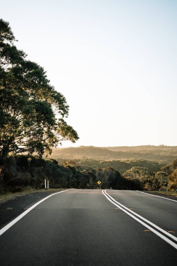 Eine leere, asphaltierte Straße führt im warmen Licht der tiefstehenden Sonne durch die hügelige Eukalyptus-Waldlandschaft von Jervis Bay.