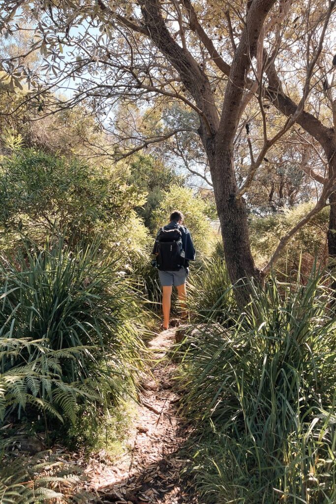 Mario wandert mit einem großen Rucksack auf einem schmalen, von dichten Farnen und Bäumen gesäumten Naturpfad durch den sonnendurchfluteten Küstenwald in Jervis Bay.