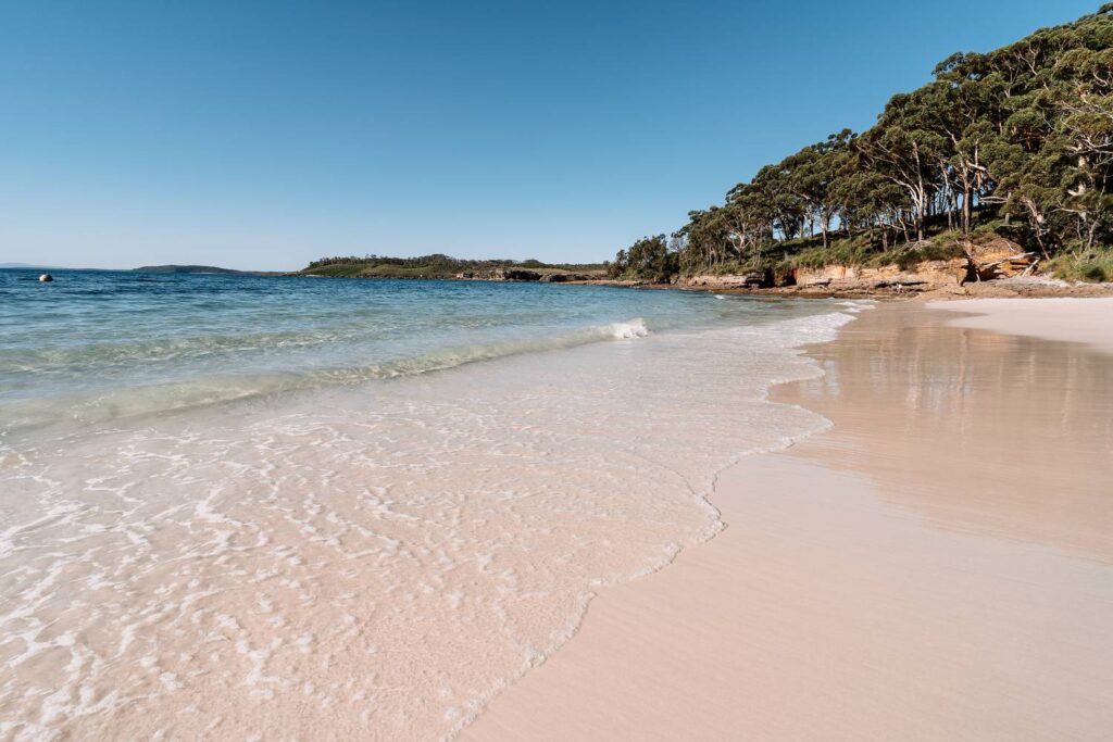 Ein traumhafter, weißer Sandstrand an der Jervis Bay mit kristallklarem, türkisfarbenem Wasser und sanften Wellen, gesäumt von einem dichten grünen Wald unter strahlend blauem Himmel.