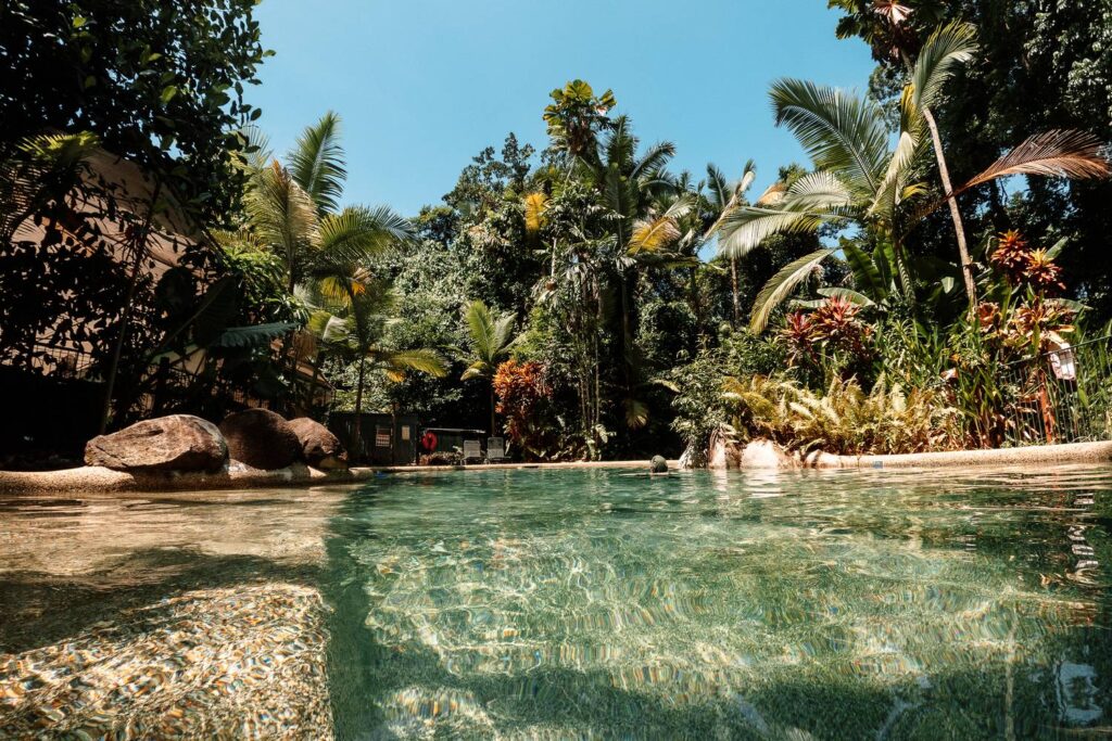 Ein von tropischen Palmen und dichtem Regenwald umgebener Swimmingpool mit glasklarem, sonnenbeschienenem Wasser im Daintree-Nationalpark.