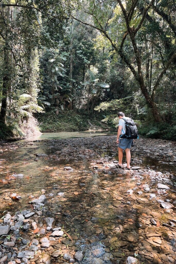 Mario watet mit einem Rucksack durch das klare, seichte Wasser eines steinigen Bachbetts, umgeben vom dichten tropischen Regenwald der Heritage Lodge im Daintree.